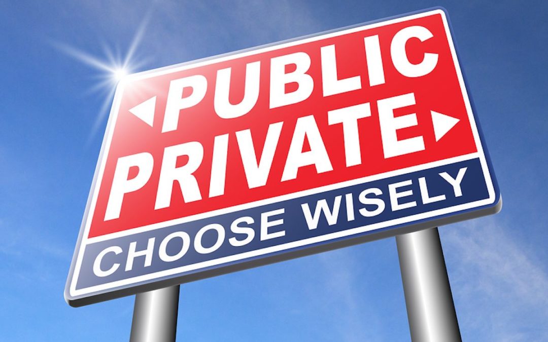 Is There a Difference Between Public and Private Sector IT? - ProFocus